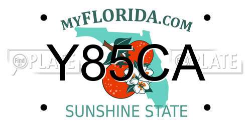 Y85CA Florida License Plate