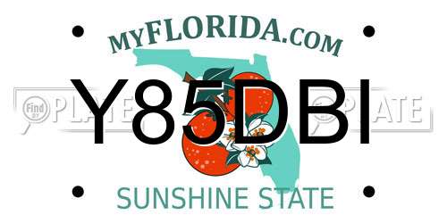Y85DBI Florida License Plate