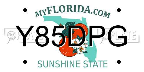 Y85DPG Florida License Plate