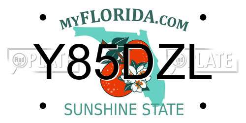 Y85DZL Florida License Plate