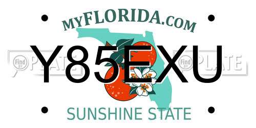 Y85EXU Florida License Plate