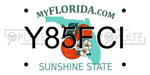 Y85FCI Florida License Plate