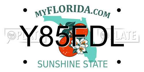Y85FDL Florida License Plate