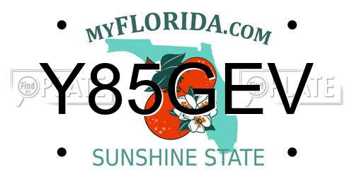 Y85GEV Florida License Plate
