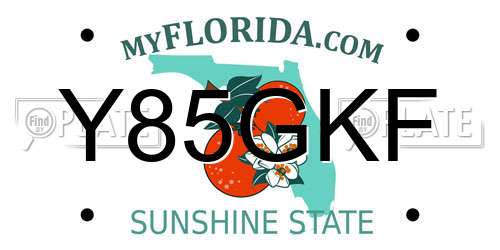 Y85GKF Florida License Plate