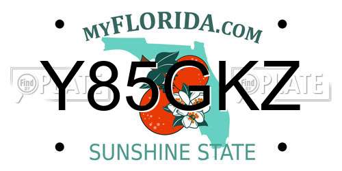 Y85GKZ Florida License Plate