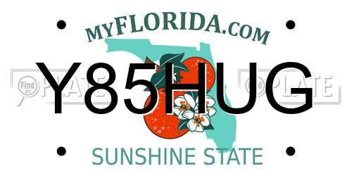 Y85HUG Florida License Plate