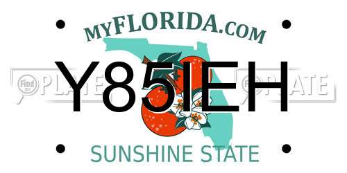Y85IEH Florida License Plate