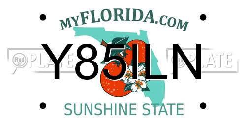Y85ILN Florida License Plate