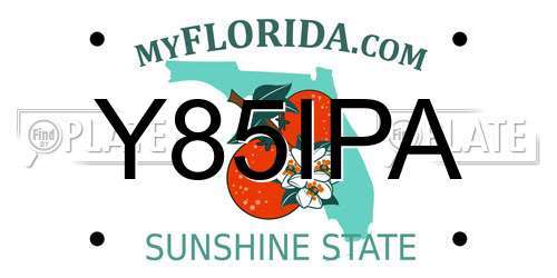 Y85IPA Florida License Plate