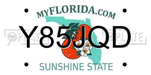 Y85JQD Florida License Plate