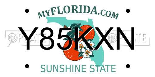 Y85KXN Florida License Plate