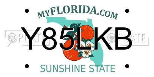 Y85LKB Florida License Plate