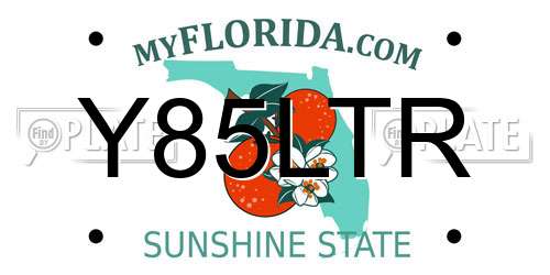 Y85LTR Florida License Plate