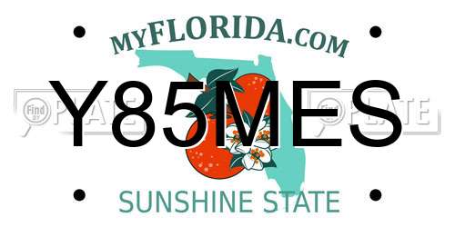 Y85MES Florida License Plate