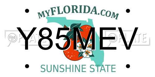 Y85MEV Florida License Plate