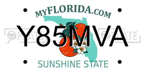 Y85MVA Florida License Plate
