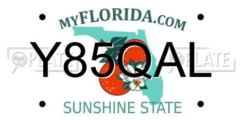 Y85QAL Florida License Plate