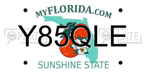 Y85QLE Florida License Plate