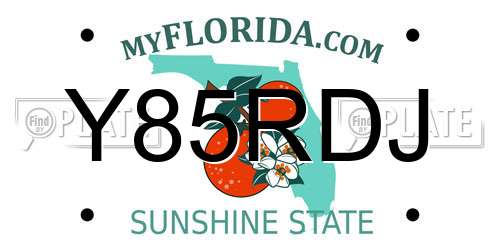Y85RDJ Florida License Plate