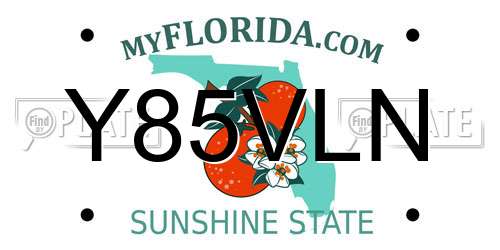 Y85VLN Florida License Plate