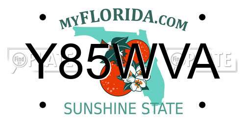Y85WVA Florida License Plate