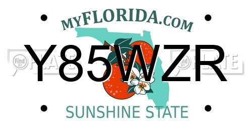 Y85WZR Florida License Plate