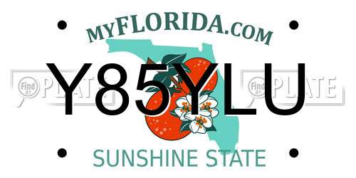 Y85YLU Florida License Plate