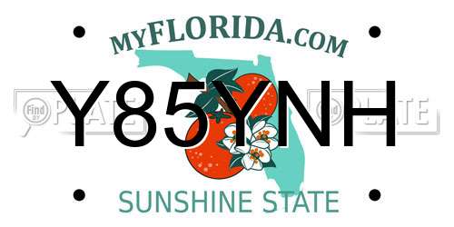Y85YNH Florida License Plate