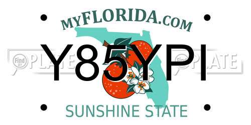 Y85YPI Florida License Plate