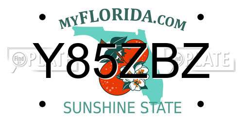 Y85ZBZ Florida License Plate