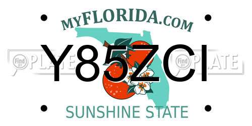 Y85ZCI Florida License Plate