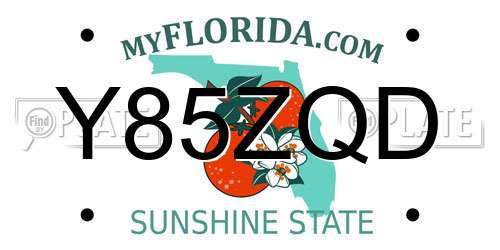 Y85ZQD Florida License Plate