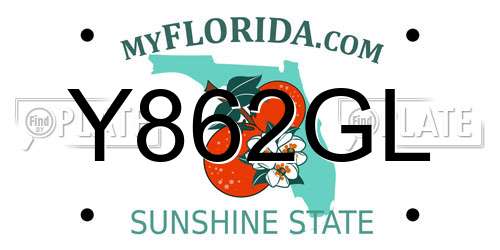 Y862GL Florida License Plate