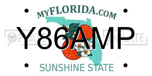 Y86AMP Florida License Plate