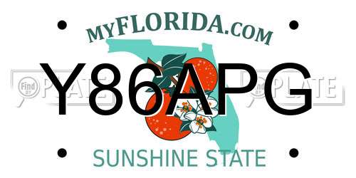 Y86APG Florida License Plate