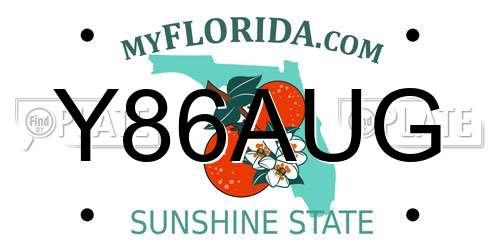 Y86AUG Florida License Plate