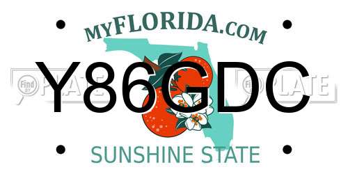Y86GDC Florida License Plate
