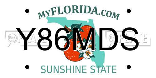 Y86MDS Florida License Plate