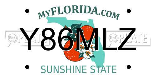 Y86MLZ Florida License Plate