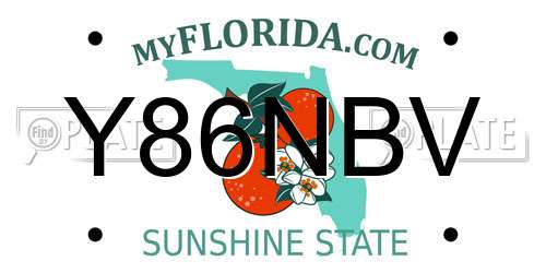 Y86NBV Florida License Plate