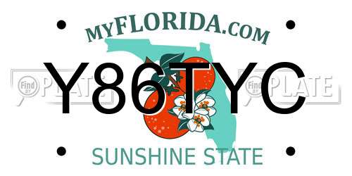 Y86TYC Florida License Plate