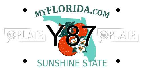 Y87 Florida License Plate