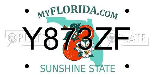 Y873ZF Florida License Plate