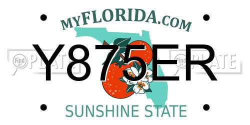 Y875ER Florida License Plate