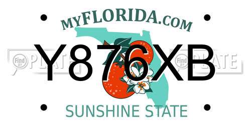 Y876XB Florida License Plate