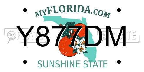 Y877DM Florida License Plate