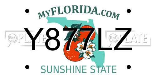 Y877LZ Florida License Plate