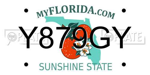 Y879GY Florida License Plate