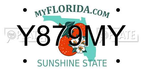 Y879MY Florida License Plate